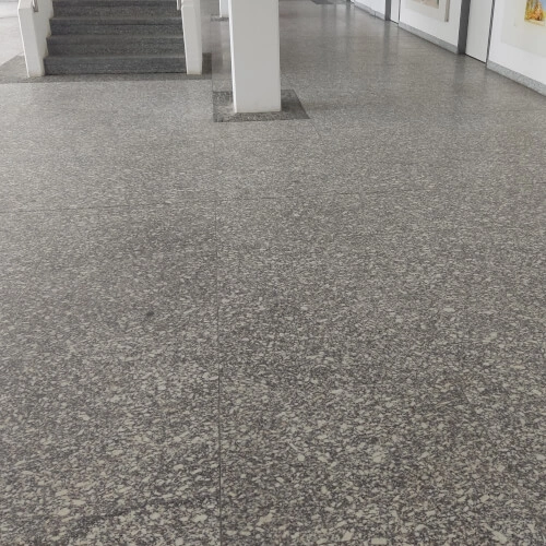 Professionelle Natursteinreinigung Maschine Krumbach